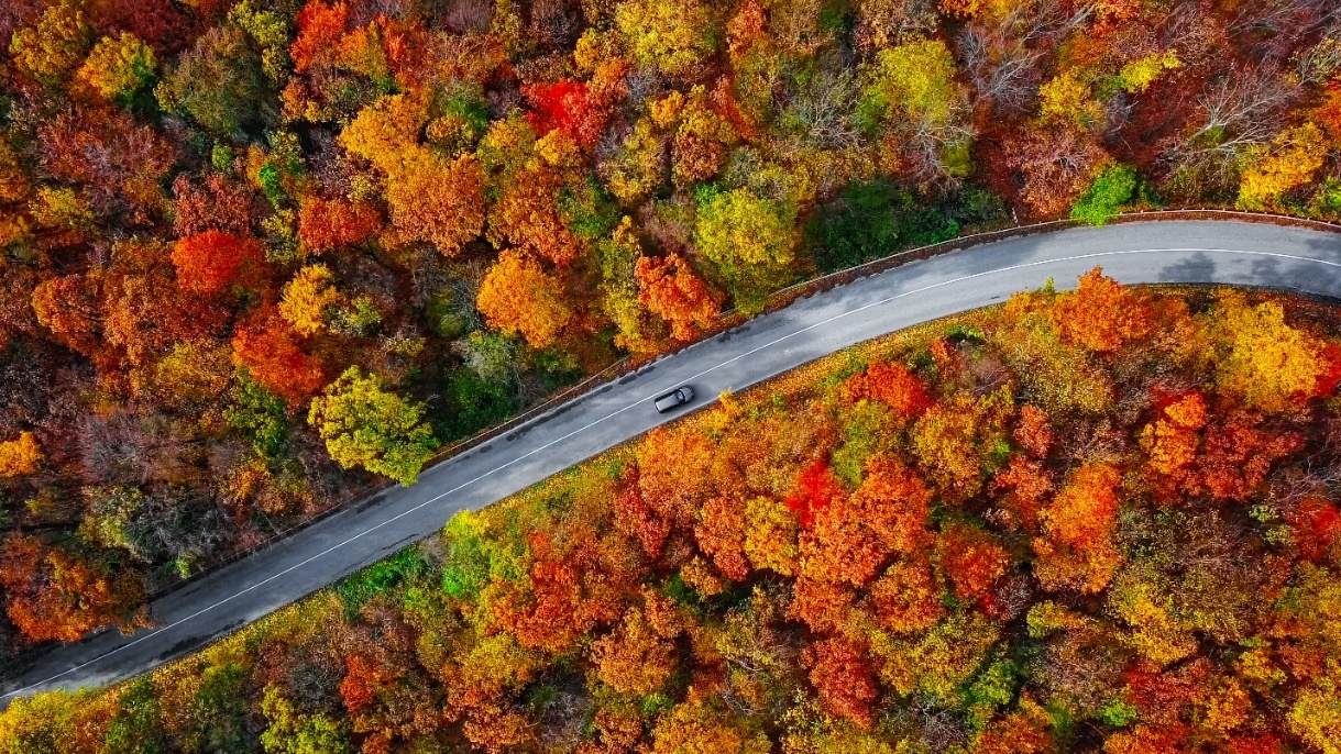 Golden Years, Golden Leaves: Top Late-Season Autumn Trips